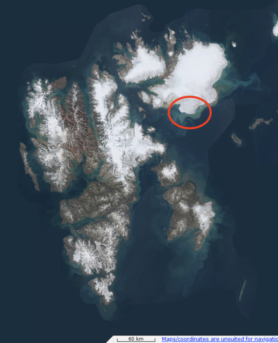 Svalbard: the area highlighted is Bråsvellbreen, one of several retreating outlet glaciers on Austfonna.