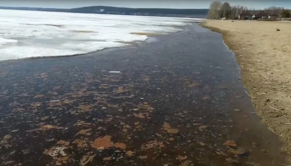 Житель Медвежьегорска Анатолий Зверев заснял в 2022 году, как выглядит береговая линия Онежского озера — второго по величине в Европе.