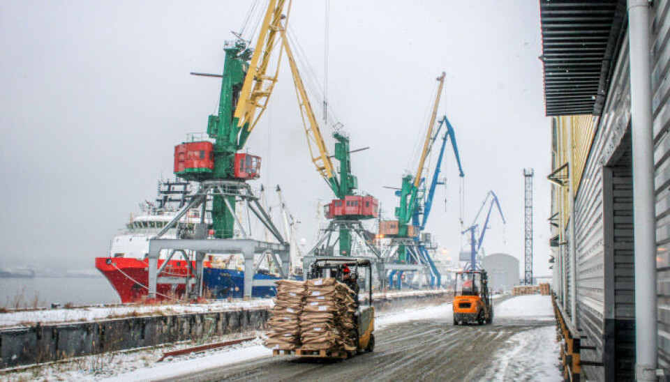 Мурманский морской рыбный порт Murmansk Sea Fish Port