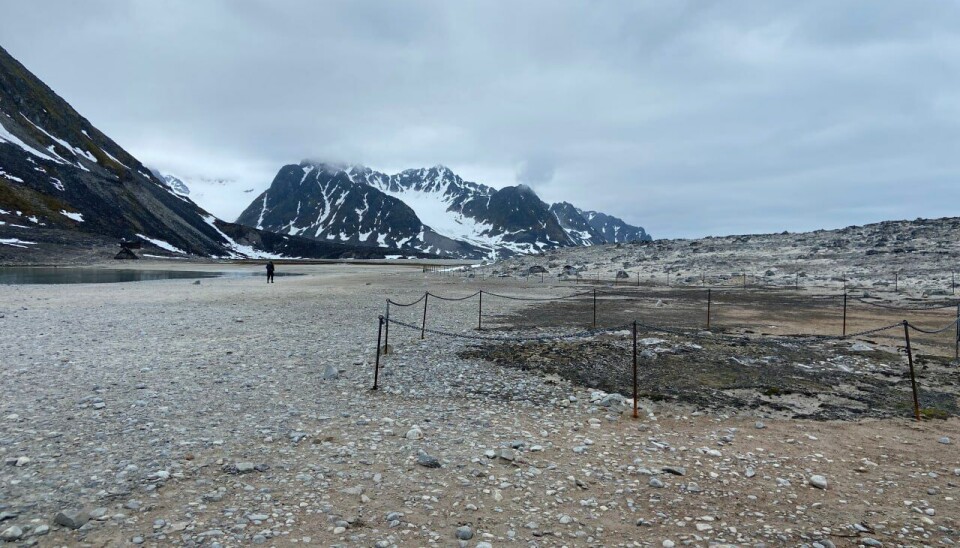 The fences are put up next to the old graves at Gravneset, north on the island of Spitsbergen.