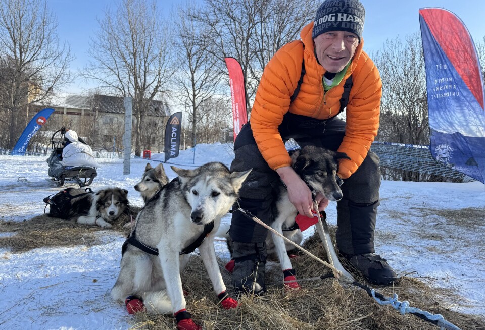Musher Daniel Juillaguet with his Alaskan huskies in Kirkenes.