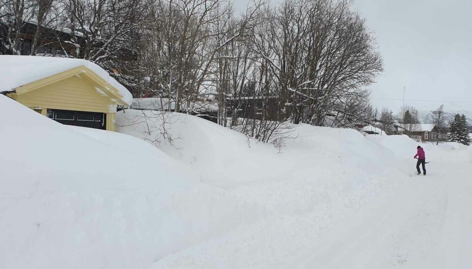 Major differences: The Arctic and the High North are undergoing dramatic changes, but regional differences mean highly varied local and regional experiences of climate change. An example is the deep snow experienced in Tromsø in March 2024.