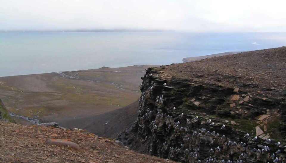 Getting greener: The eastern and coldest parts of the Svalbard archipelago, such as Edgeøya, are showing the greatest increase in “greenness”.