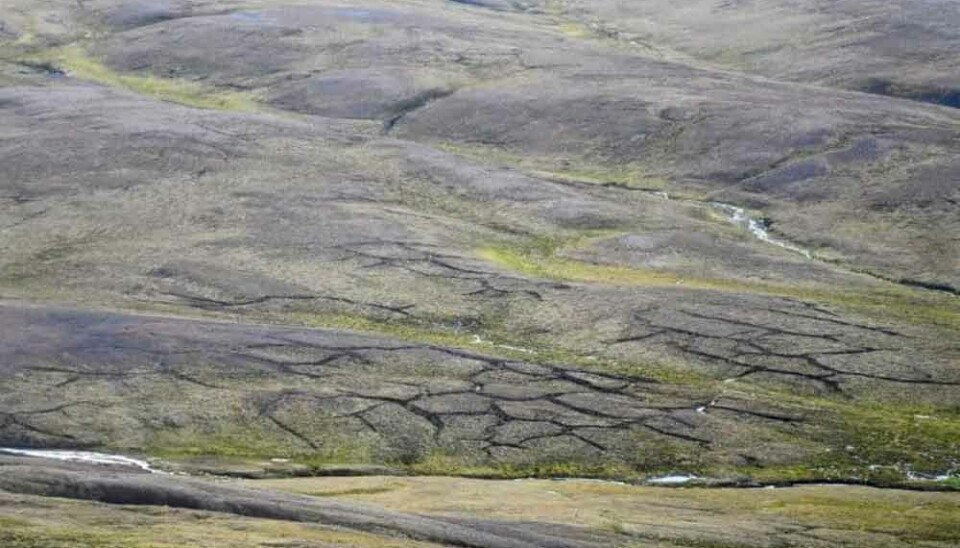 The changing permafrost landscape at Janssonhaugen, Svalbard.
