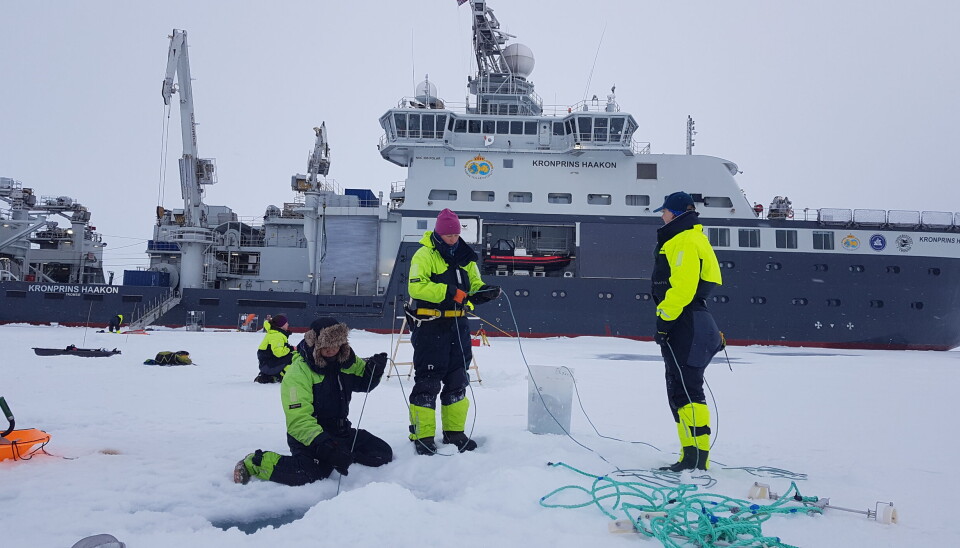 Researchers conducting fieldwork in the Arctic.