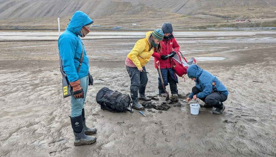Two geologists, one vegetation ecologist, and one biogeochemist trying to figure out the best way to capture the dynamics of the Adventelva delta system in Svalbard.
