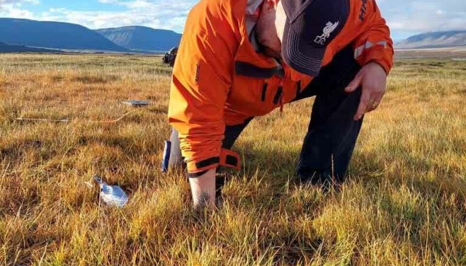 Collecting soil samples during a field excursion in Adventdalen, Svalbard.