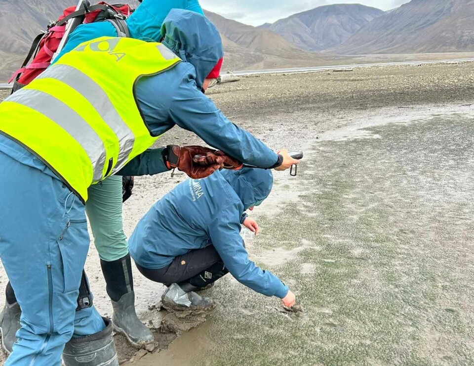Multiple tasks in motion along Adventelva in Svalbard.
