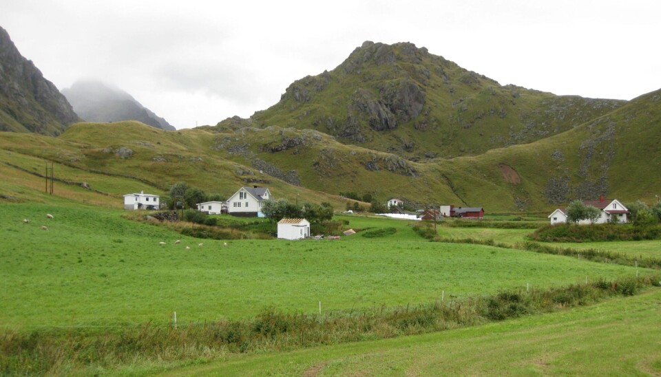 Agricultural land constitutes a vanishingly small portion of the land resources in northern Norway. In Nordland County, agricultural land makes up only 2 percent of the total land area. For the counties of Troms and Finnmark, the proportions are 1.5 percent and 0.3 percent, respectively. Cultural landscapes are being increasingly overgrown due to structural changes, and there is a limited amount of land that can be reclaimed and used for food production.