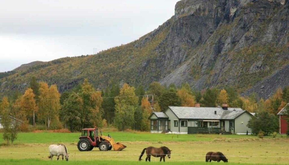 Subarctic agriculture in northern Norway is the world’s northernmost farming. The growing season is short and intense, with significant differences between coastal regions and the inland areas. In inner Finnmark, the season lasts 100 days, while in the outer coastal areas of Nordland, it extends to 180 days.