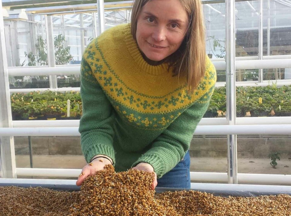 Research scientist Hilde Halland, NIBIO.