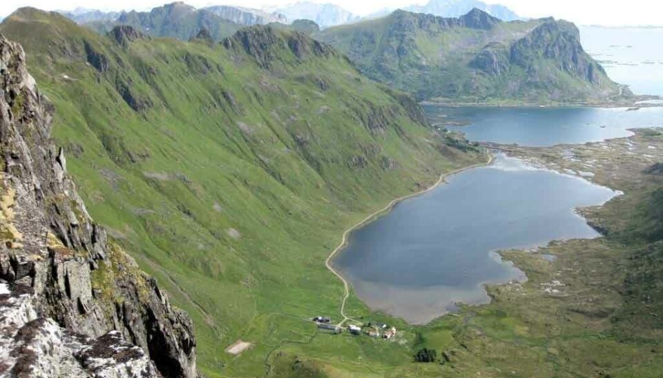 In Nordland County, only 2 percent of the total land area can be used for agriculture. Some of the factors that limit access to grazing and arable land can be seen in this image from Vestvågøy municipality in Nordland. Despite the rocky, steep, or marshy terrain seen here, Vestvågøy is blessed with 10 percent agricultural land.