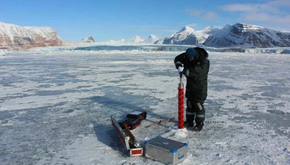 Field work in Kongsfjorden on sea ice.