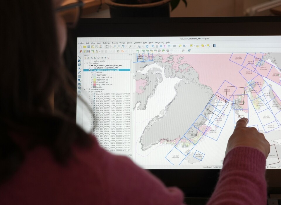 Signe Alvarstein has been analysing ice for almost 30 years