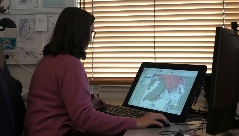 Signe Alvarstein at work