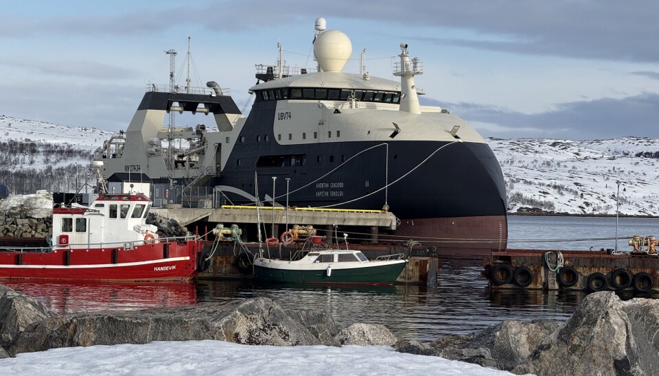 Not one fish was landed when Norebo's new super trawler Kapitan Sokolov made port call to Kirkenes in late April this year. The shipping company is owned by fishery tycoon Vitaly Orlov, a friend of Vladimir Putin.