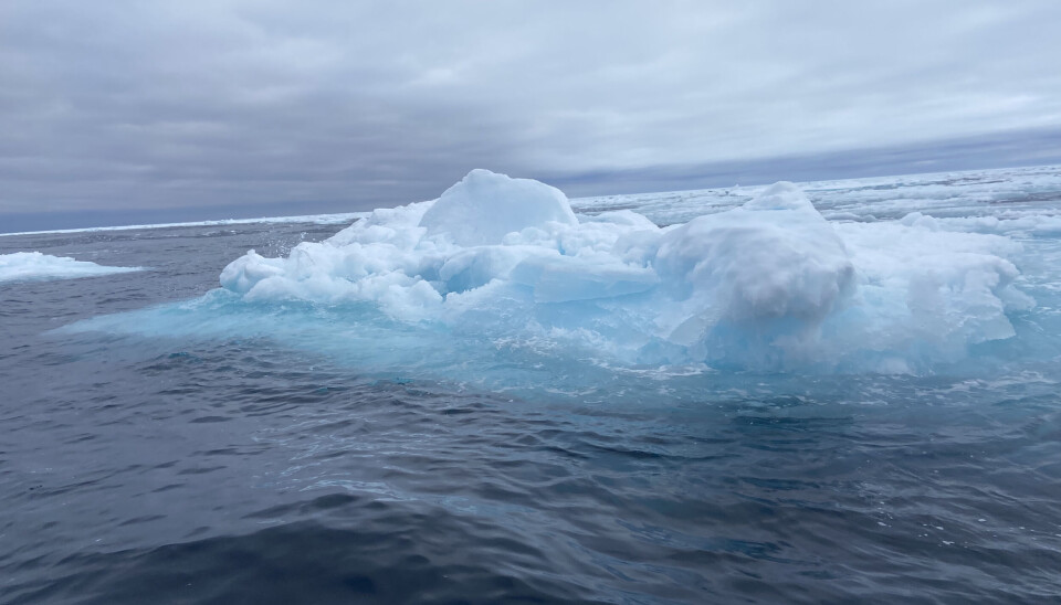 Arctic sea ice.