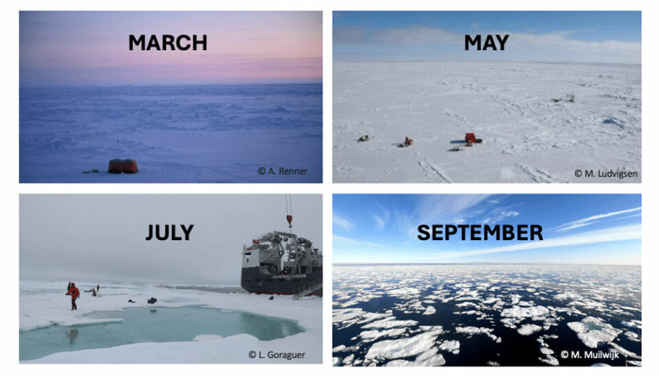 Examples of sea ice encountered from March to September. In March and May, the main parts of the northern Barents Sea were covered by sea ice and snow, with a few small open water areas. In July, melt ponds and leads are present. In September, the Barents Sea is mostly ice-free.