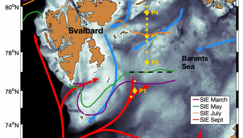 Map of the Barents Sea with Nansen Legacy transect stations (yellow dots). Diamonds indicate stations where sea ice and extensive biological sampling was performed. Red arrows represent the inflow of Atlantic Water into the Barents Sea. Blue arrows highlight the circulation of Polar Water in the northwestern Barents Sea (delineated by the black dashed lines). Purple/green/orange/red lines show the sea ice edge (SIE) in
March/May/July/September, respectively.