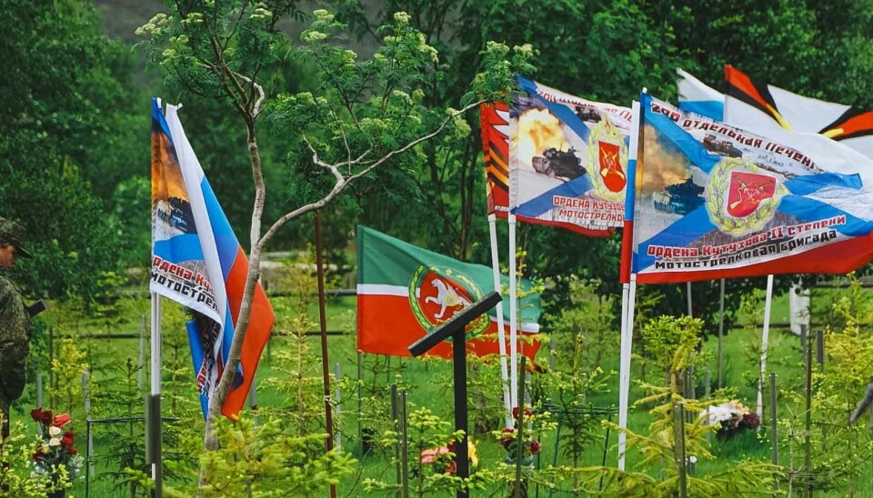 More trees are planted in the so-called 'memorial garden' in Pechenga