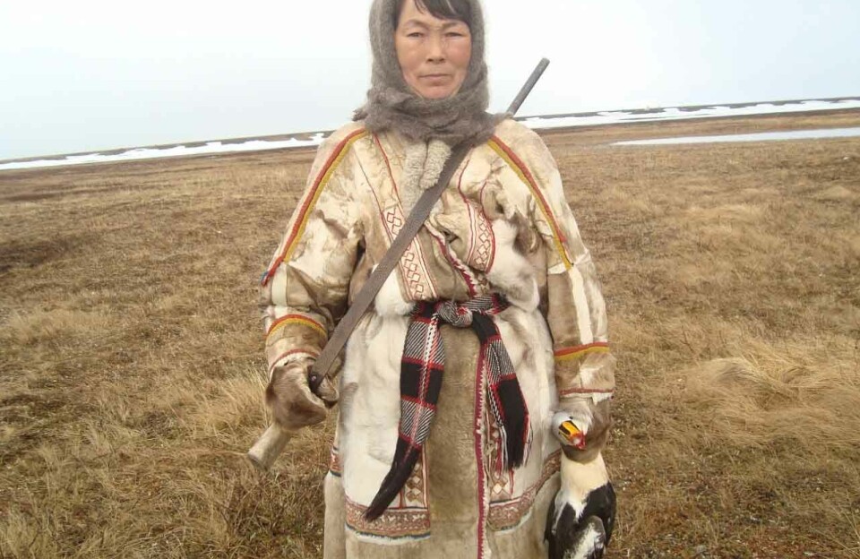 Hunter on Nenets tundra.
