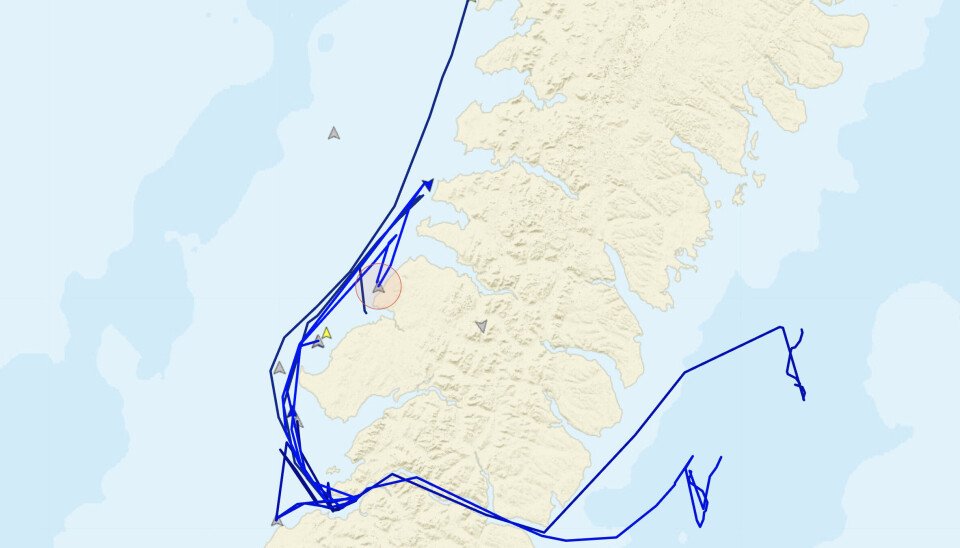 At least nine vessels are in strategic positions to monitor a Burevestnik missile flight along the west coast of Novaya Zemlya north of the Pankovo test site.
