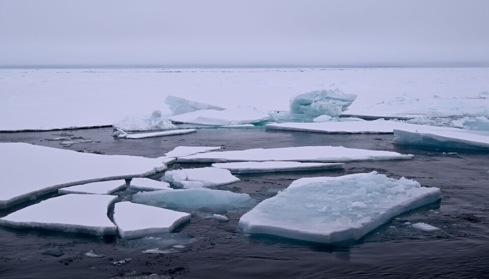 The Arctic Ocean sea ice in August 2025