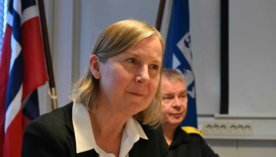 Elisabeth Aarsæther is Head of the Norwegian Directorate for Civil Protection.