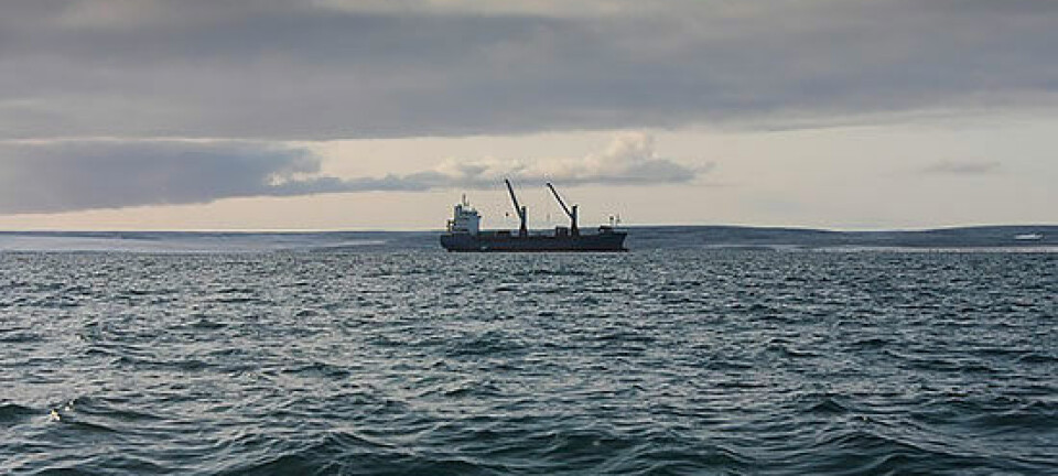 Sanctioned carrier is on the way from Arkhangelsk to Syria
