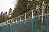Tall barbed-wire fence running through a forested border area