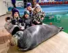 Murmansk Oceanarium