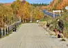 Border Norge Russia